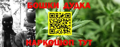 ГАЛЛЮЦИНОГЕННЫЕ ГРИБЫ Нарткала