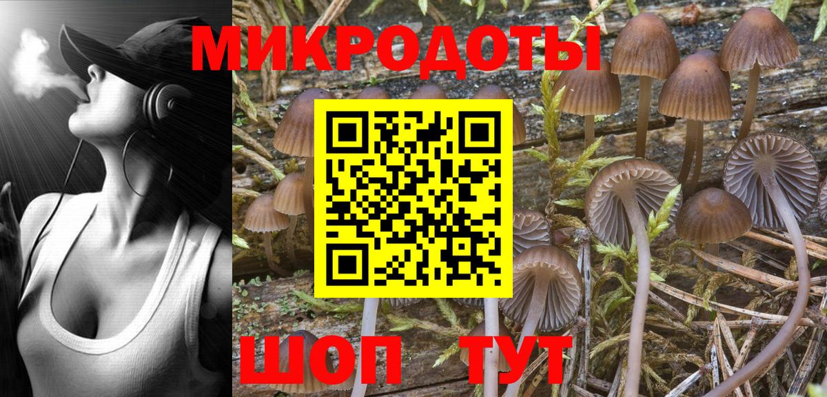 Таганрог  Псилоцибиновые грибы Psilocybine cubensis  Вход с VPN 